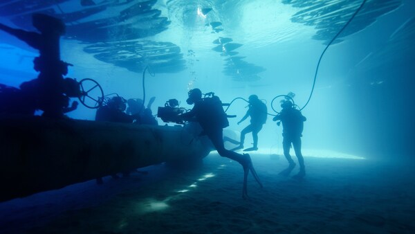 los_tigres_00060_hires_christophmack-600x400-bf06395_cc2e9901