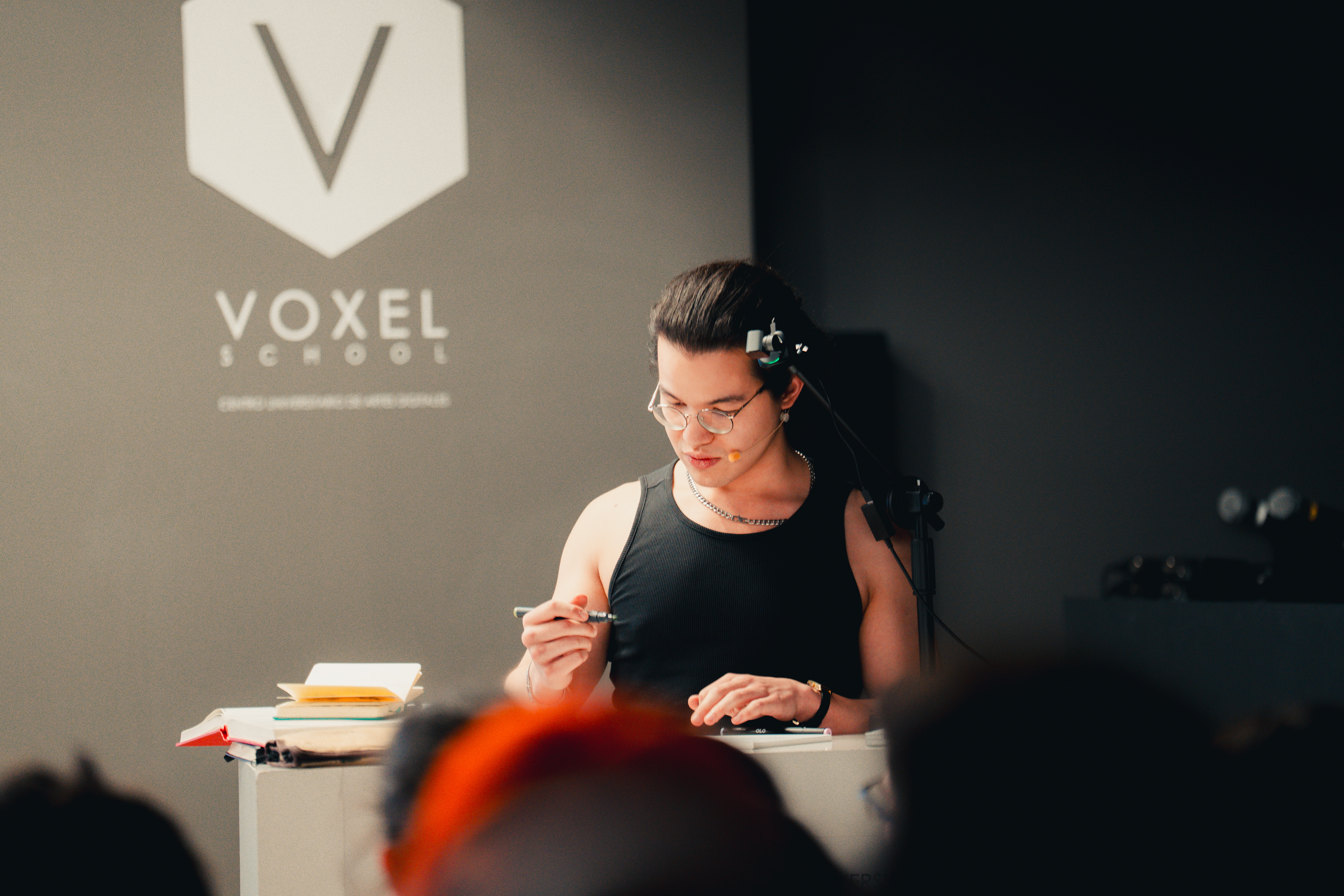 VOXEL-24